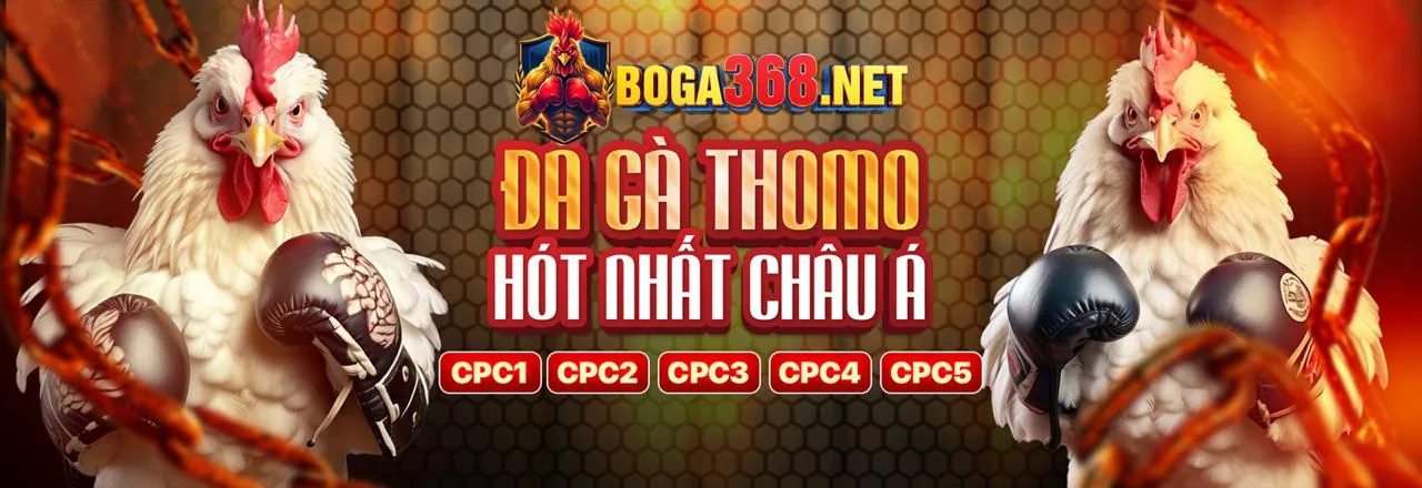 Gà chọi dũng mãnh trên sàn đấu trực tuyến tại AW8 Link