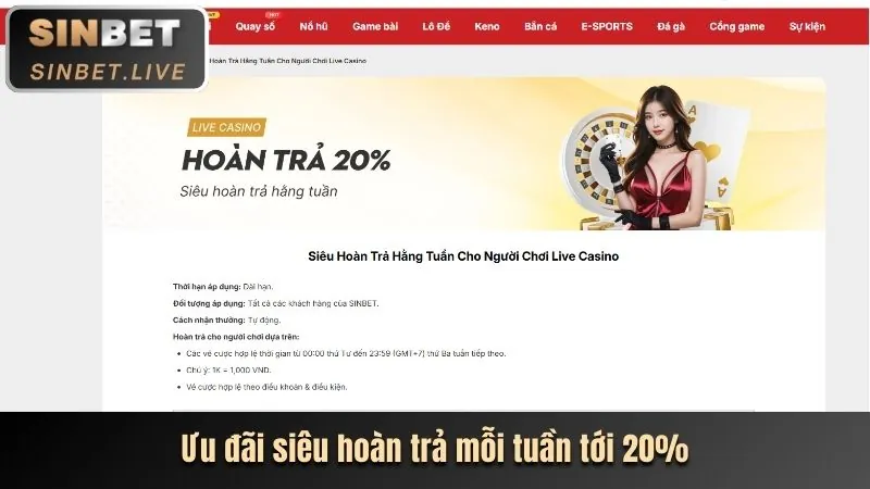 Hoàn trả hàng ngày cho casino tại AW8 Link